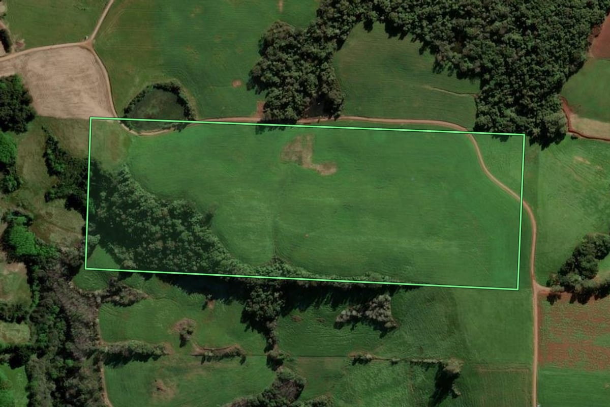 Imagem de satélite do imóvel rural em Ponte Preta (RS), com o contorno declarado no CAR desenhado por cima.