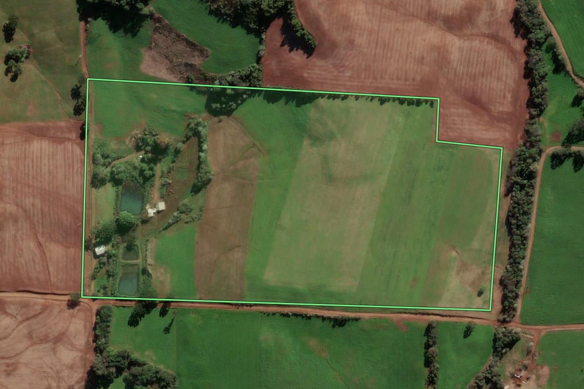 Imagem de satélite do imóvel rural em Ponte Preta (RS), com o contorno declarado no CAR desenhado por cima.
