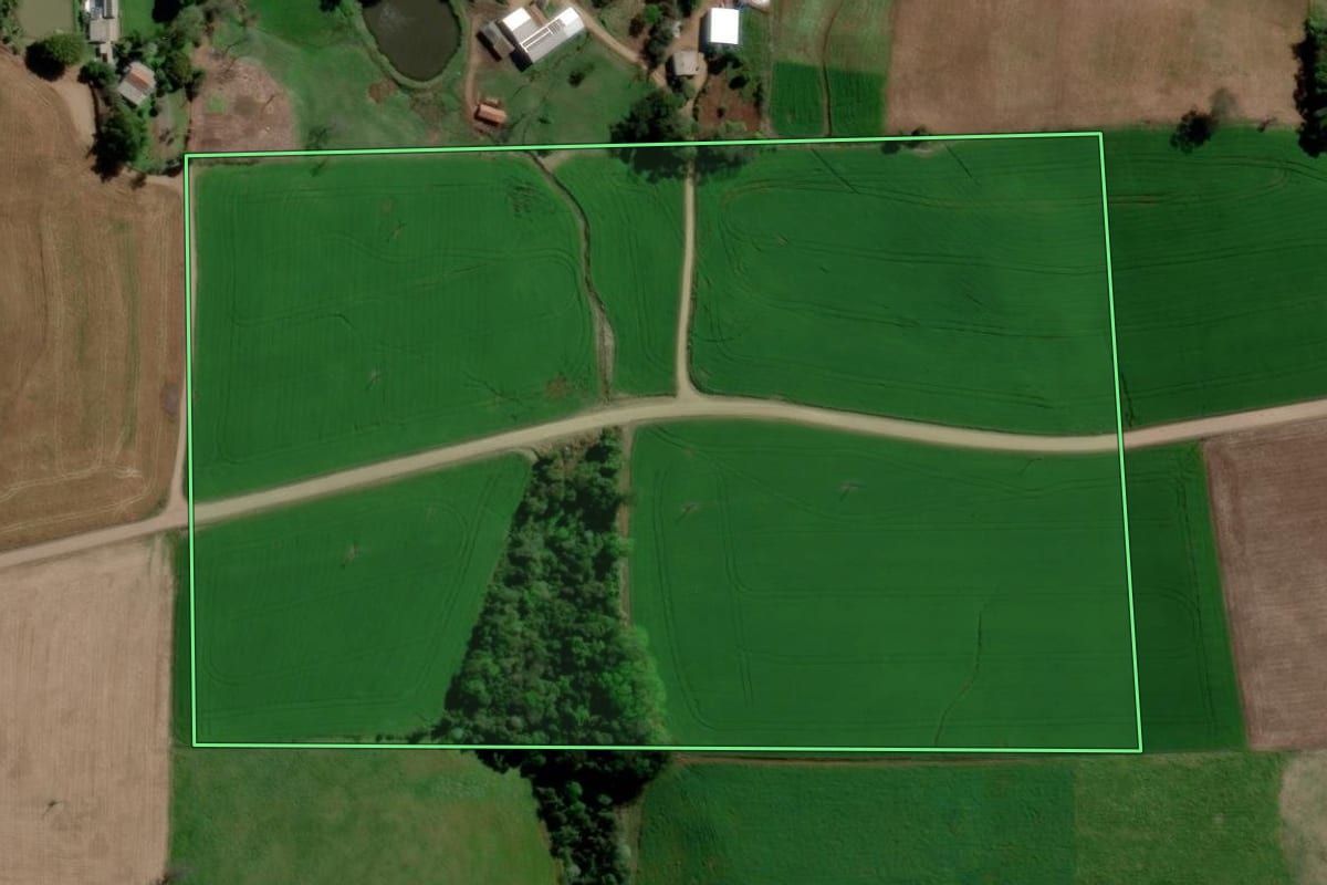 Imagem de satélite do imóvel rural em Ponte Preta (RS), com o contorno declarado no CAR desenhado por cima.