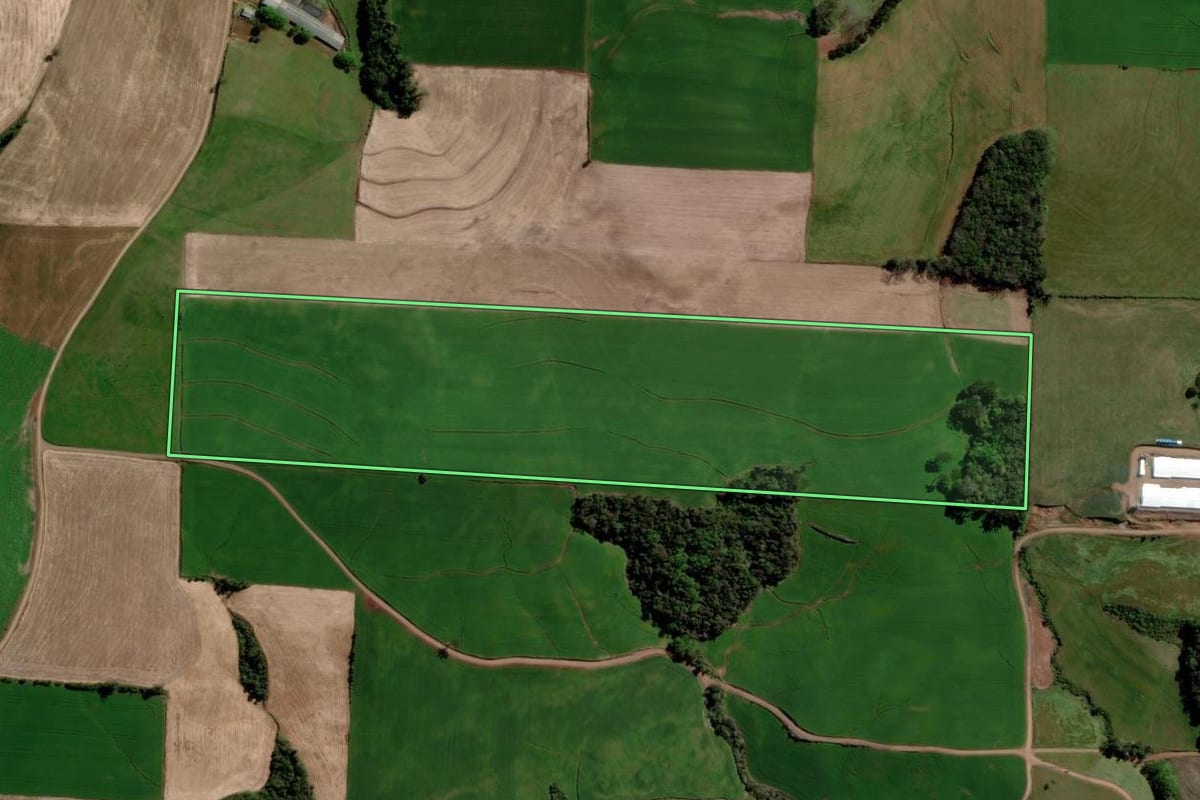 Imagem de satélite do imóvel rural em Ponte Preta (RS), com o contorno declarado no CAR desenhado por cima.