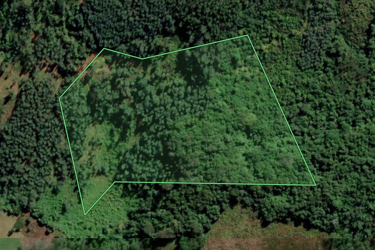 Imagem de satélite do imóvel rural em Portão (RS), com o contorno declarado no CAR desenhado por cima.