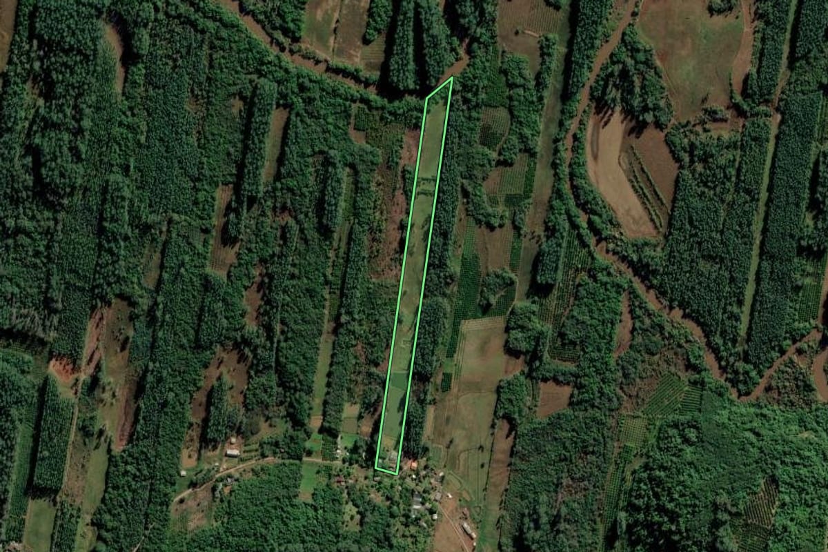 Imagem de satélite do imóvel rural em Portão (RS), com o contorno declarado no CAR desenhado por cima.