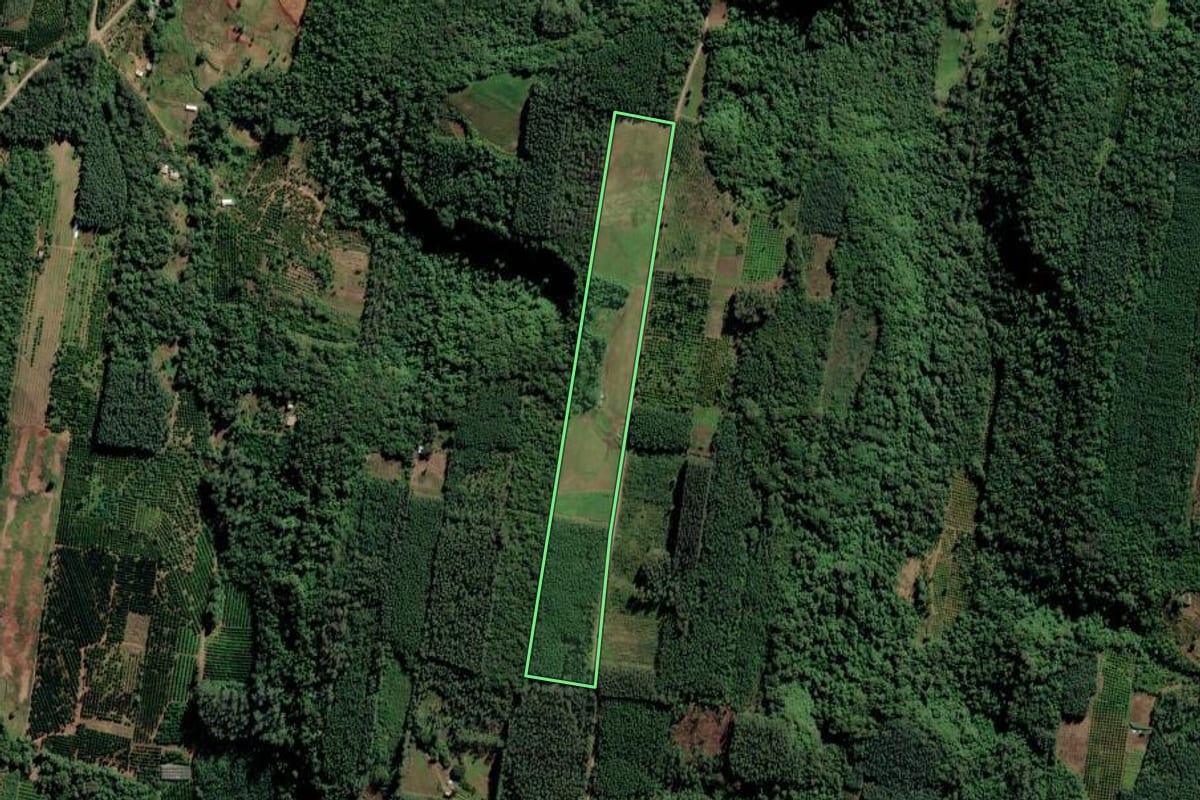 Imagem de satélite do imóvel rural em Portão (RS), com o contorno declarado no CAR desenhado por cima.