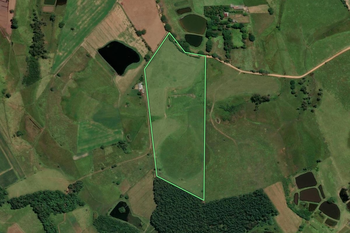 Imagem de satélite do imóvel rural em Portão (RS), com o contorno declarado no CAR desenhado por cima.
