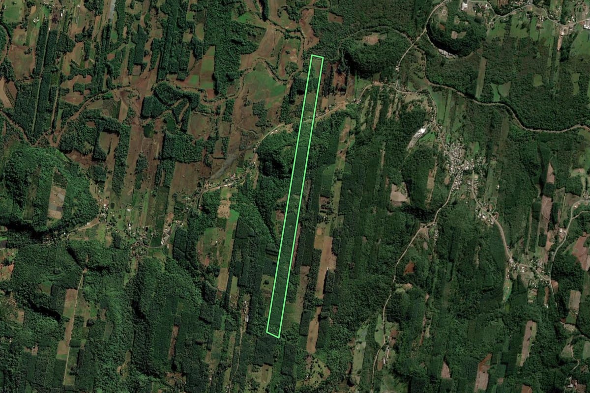 Imagem de satélite do imóvel rural em Portão (RS), com o contorno declarado no CAR desenhado por cima.