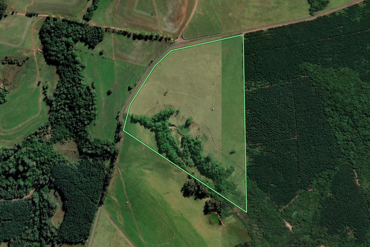 Imagem de satélite do imóvel rural em Portão (RS), com o contorno declarado no CAR desenhado por cima.