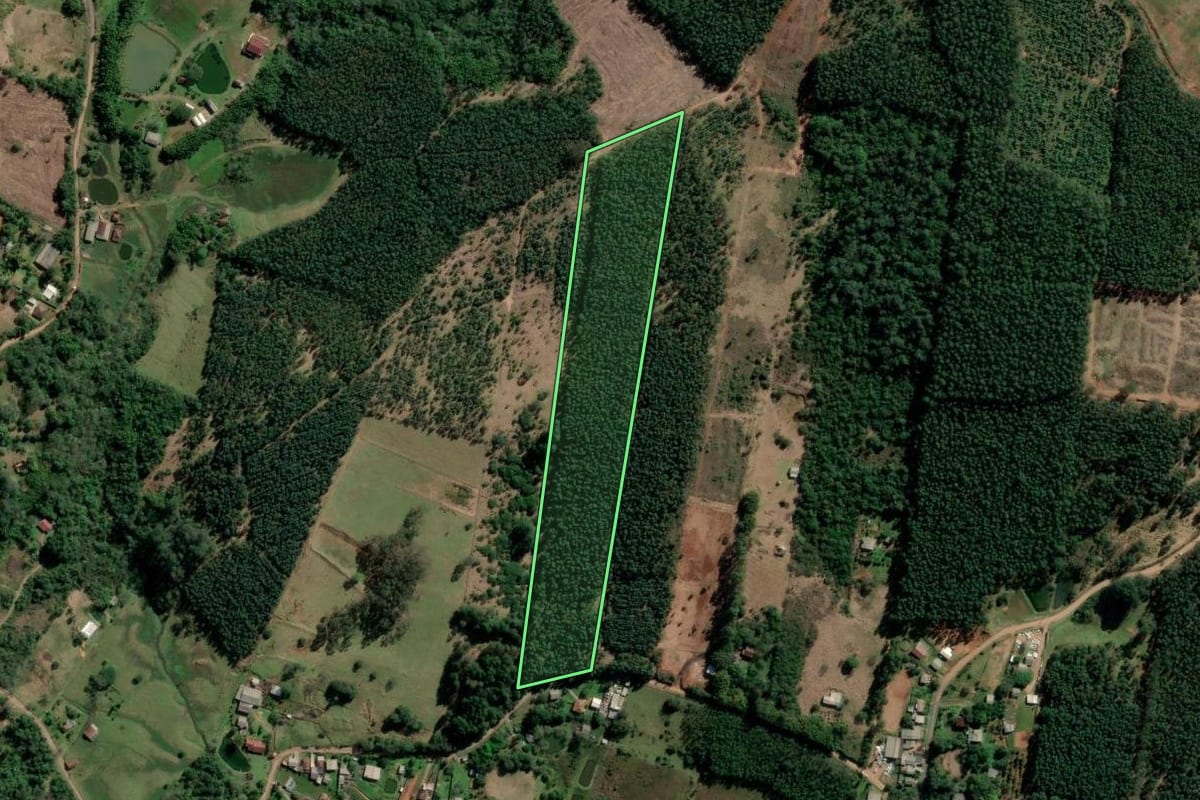 Imagem de satélite do imóvel rural em Portão (RS), com o contorno declarado no CAR desenhado por cima.