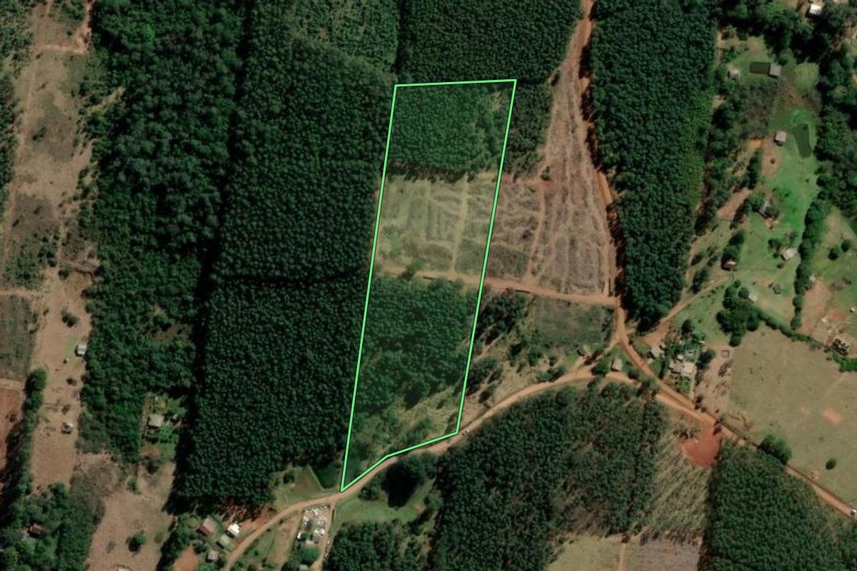 Imagem de satélite do imóvel rural em Portão (RS), com o contorno declarado no CAR desenhado por cima.