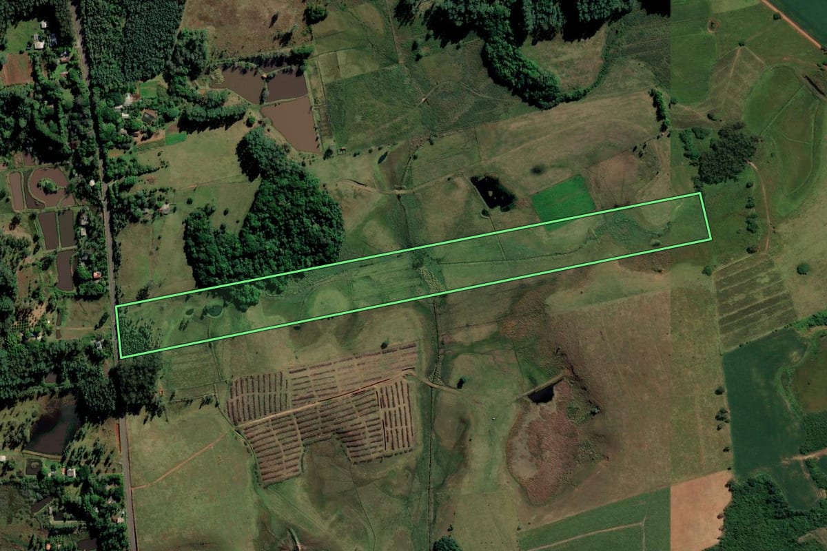 Imagem de satélite do imóvel rural em Portão (RS), com o contorno declarado no CAR desenhado por cima.