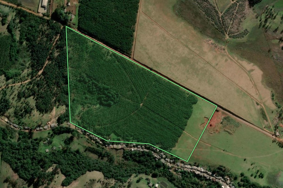 Imagem de satélite do imóvel rural em Portão (RS), com o contorno declarado no CAR desenhado por cima.