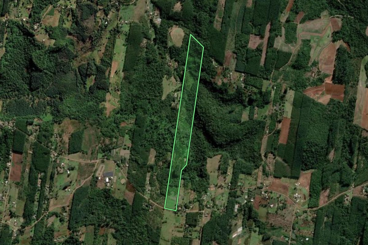 Imagem de satélite do imóvel rural em Portão (RS), com o contorno declarado no CAR desenhado por cima.