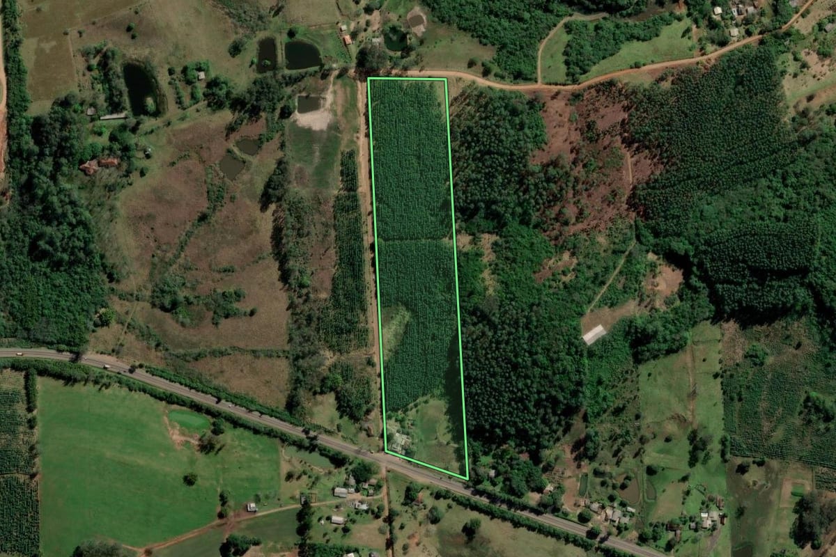 Imagem de satélite do imóvel rural em Portão (RS), com o contorno declarado no CAR desenhado por cima.