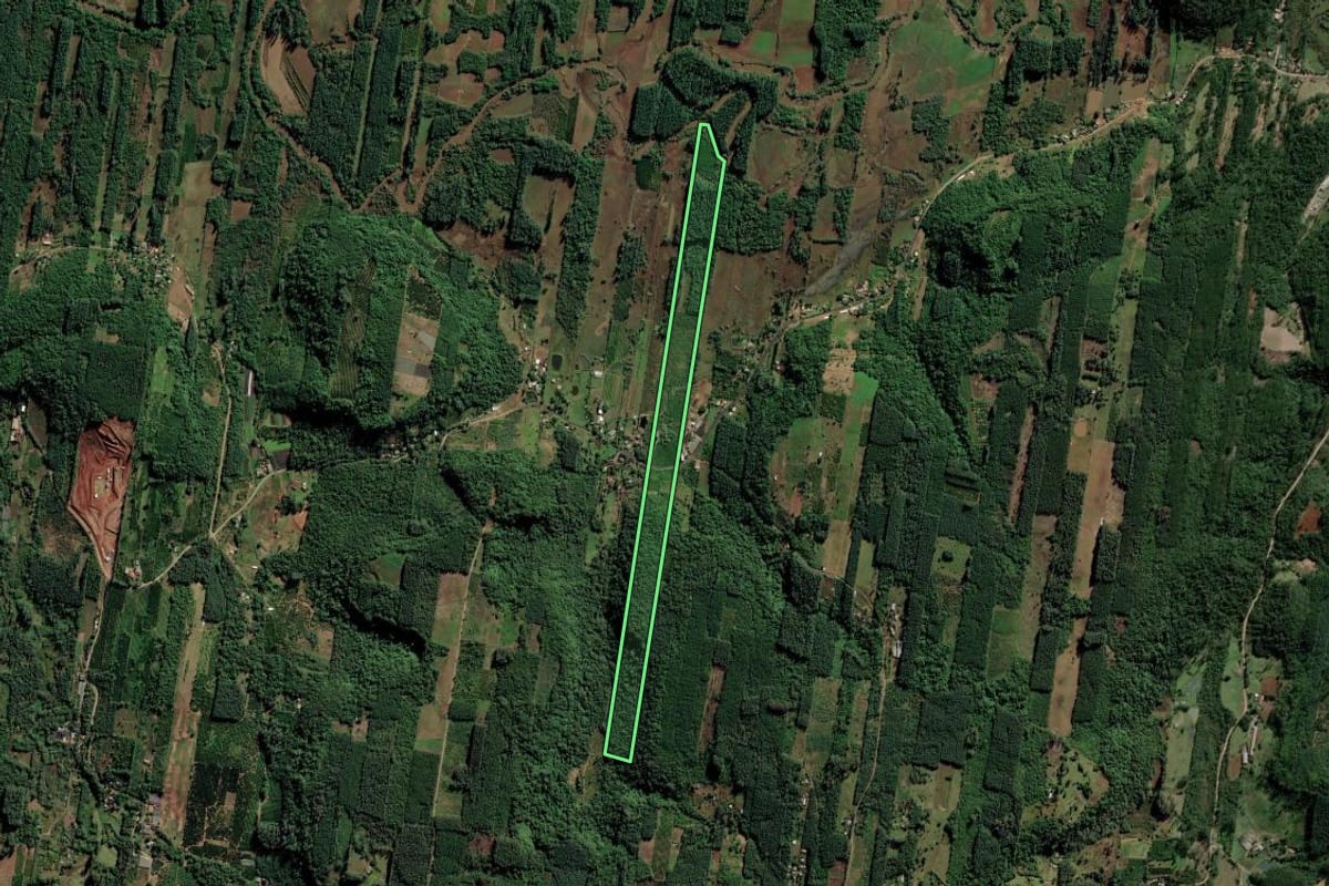 Imagem de satélite do imóvel rural em Portão (RS), com o contorno declarado no CAR desenhado por cima.