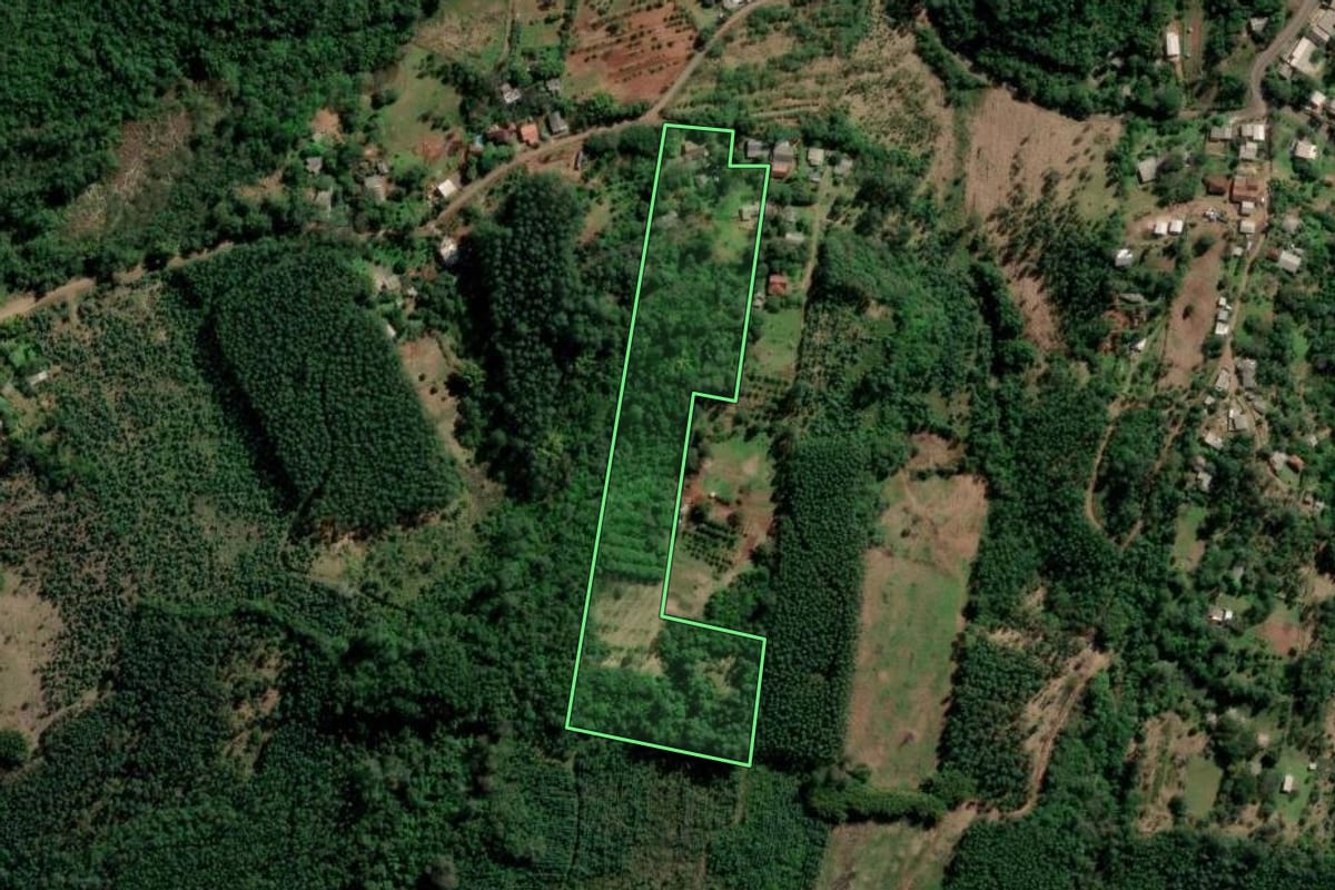 Imagem de satélite do imóvel rural em Portão (RS), com o contorno declarado no CAR desenhado por cima.