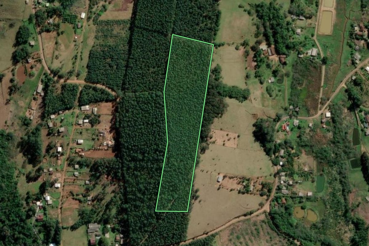 Imagem de satélite do imóvel rural em Portão (RS), com o contorno declarado no CAR desenhado por cima.