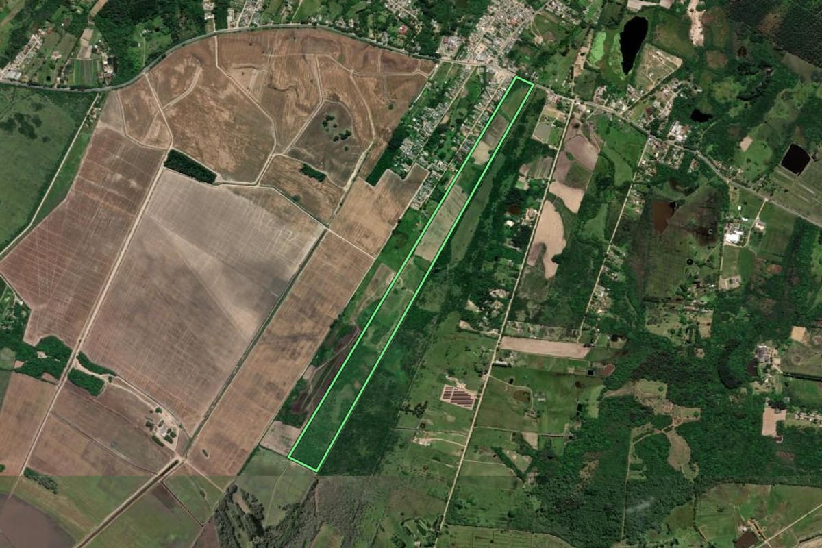 Imagem de satélite do imóvel rural em Porto Alegre (RS), com o contorno declarado no CAR desenhado por cima.