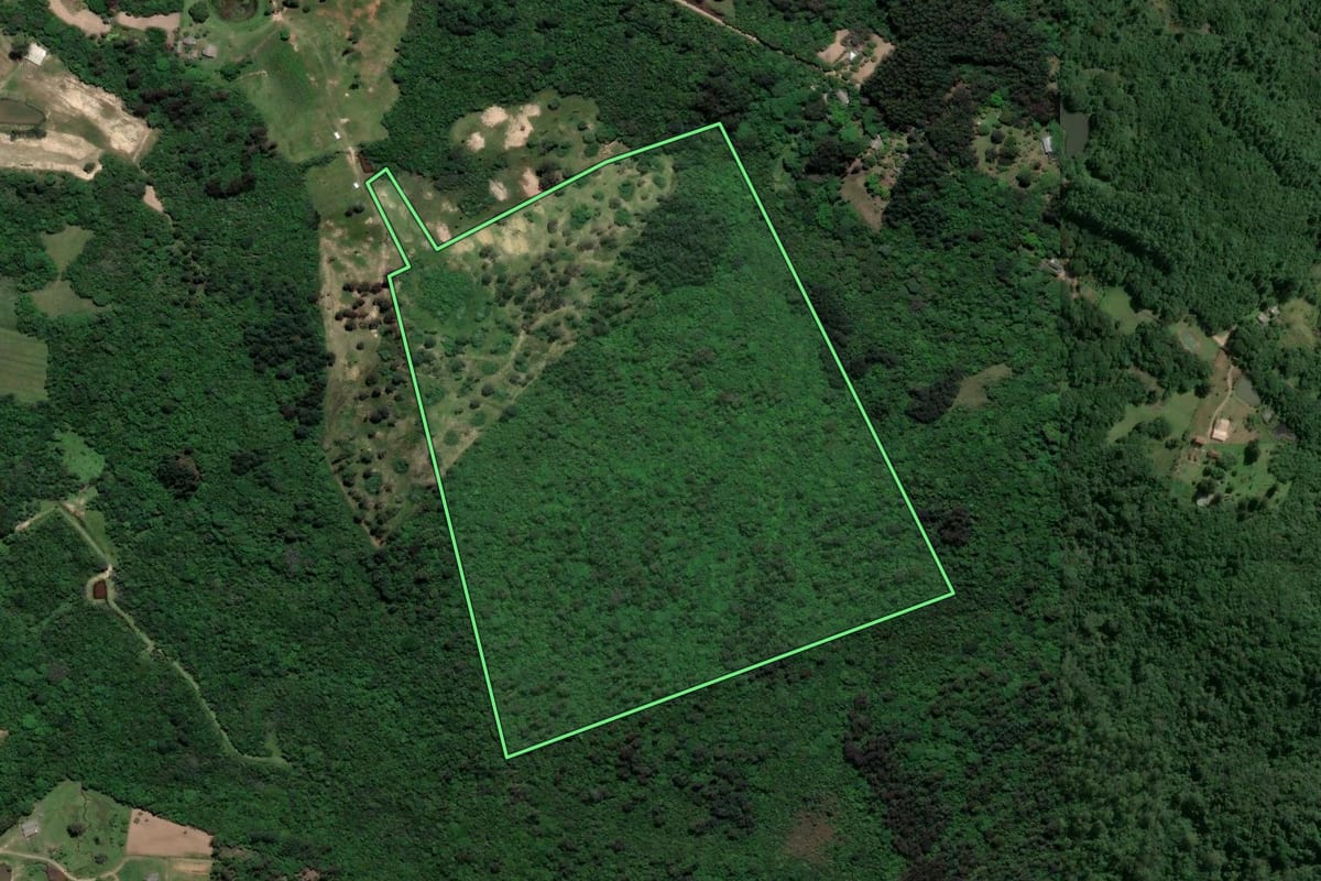 Imagem de satélite do imóvel rural em Porto Alegre (RS), com o contorno declarado no CAR desenhado por cima.