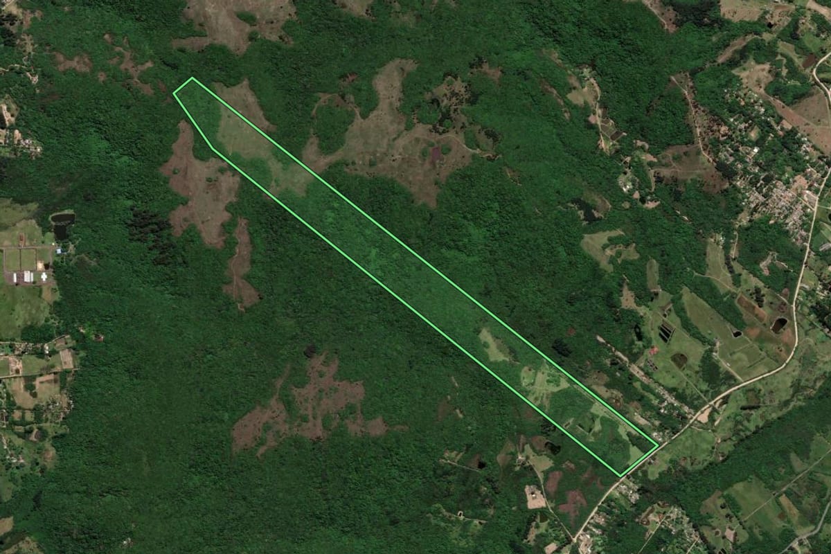 Imagem de satélite do imóvel rural em Porto Alegre (RS), com o contorno declarado no CAR desenhado por cima.