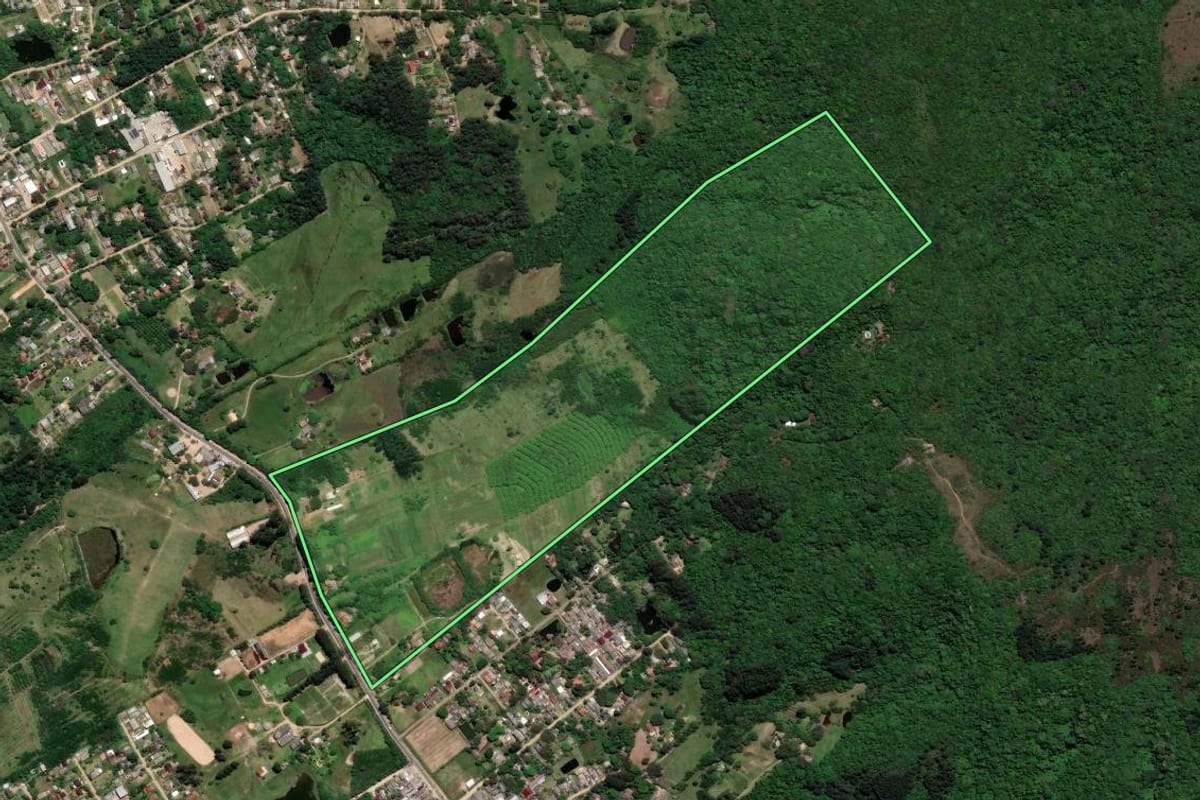 Imagem de satélite do imóvel rural em Porto Alegre (RS), com o contorno declarado no CAR desenhado por cima.