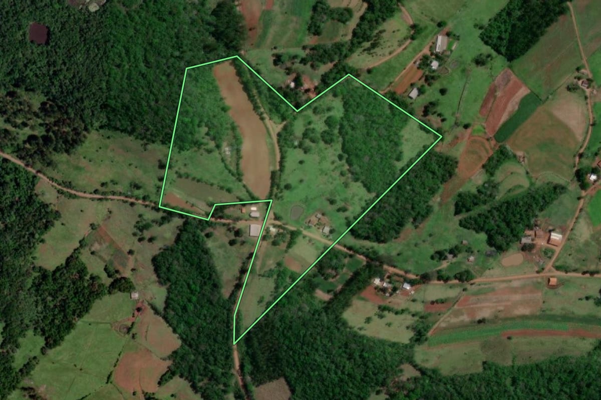 Imagem de satélite do imóvel rural em Porto Lucena (RS), com o contorno declarado no CAR desenhado por cima.