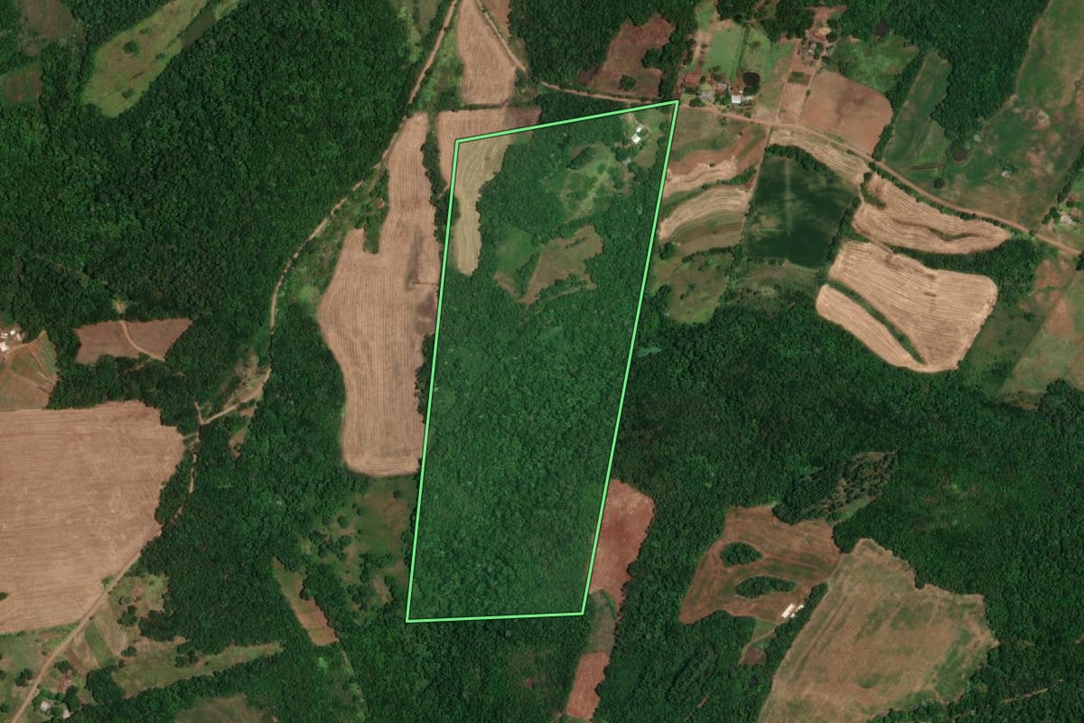 Imagem de satélite do imóvel rural em Porto Lucena (RS), com o contorno declarado no CAR desenhado por cima.