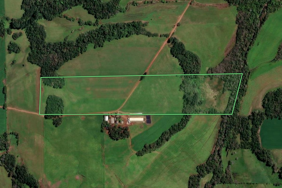 Imagem de satélite do imóvel rural em Porto Lucena (RS), com o contorno declarado no CAR desenhado por cima.