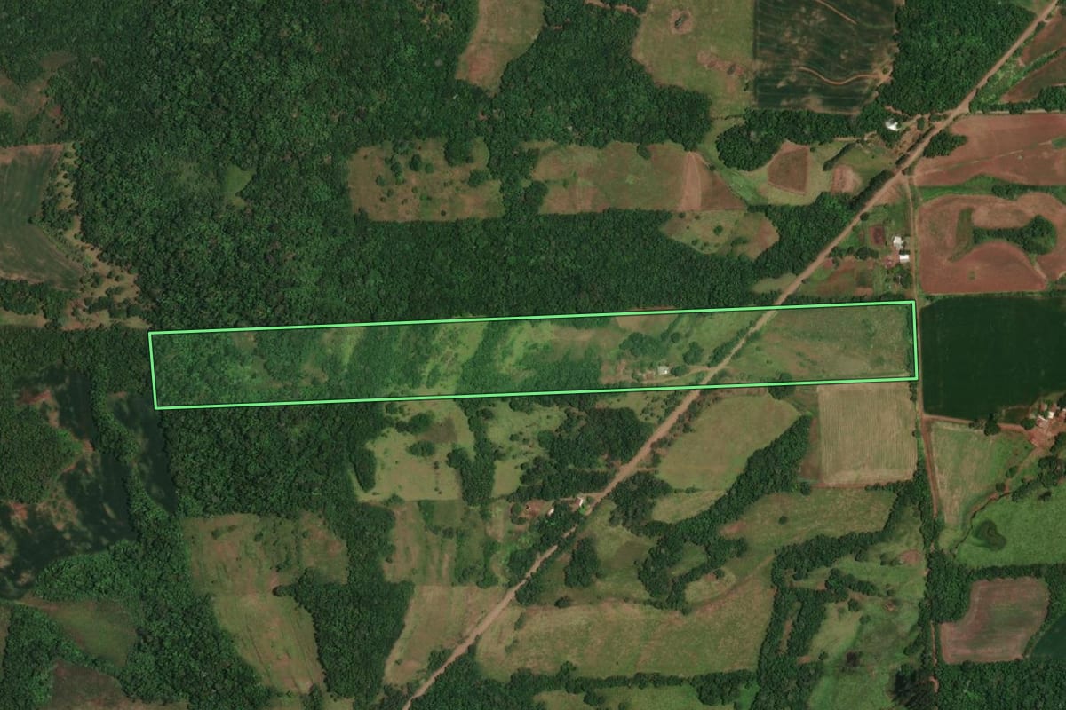 Imagem de satélite do imóvel rural em Porto Lucena (RS), com o contorno declarado no CAR desenhado por cima.