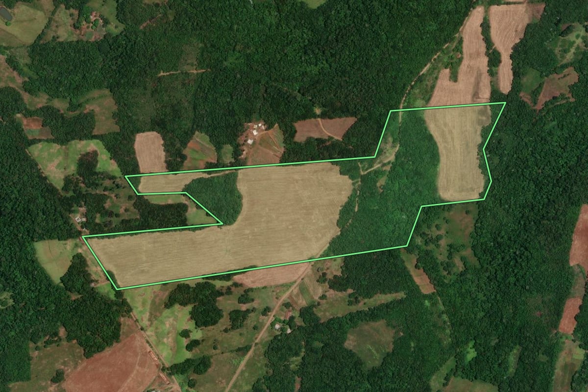 Imagem de satélite do imóvel rural em Porto Lucena (RS), com o contorno declarado no CAR desenhado por cima.