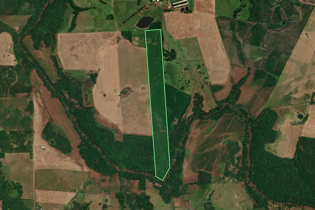 Imagem de satélite do imóvel rural em Porto Lucena (RS), com o contorno declarado no CAR desenhado por cima.