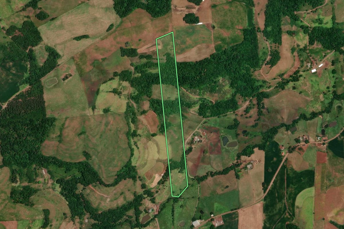 Imagem de satélite do imóvel rural em Porto Lucena (RS), com o contorno declarado no CAR desenhado por cima.