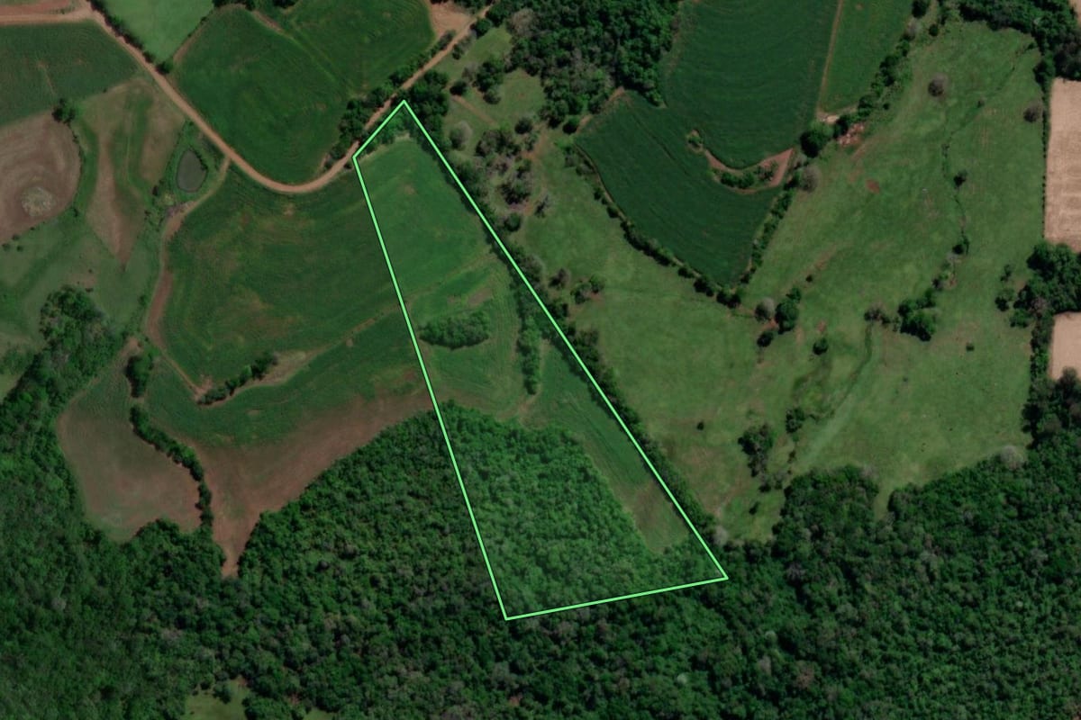 Imagem de satélite do imóvel rural em Porto Lucena (RS), com o contorno declarado no CAR desenhado por cima.
