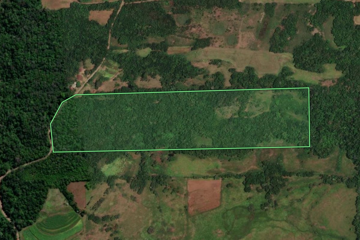 Imagem de satélite do imóvel rural em Porto Lucena (RS), com o contorno declarado no CAR desenhado por cima.