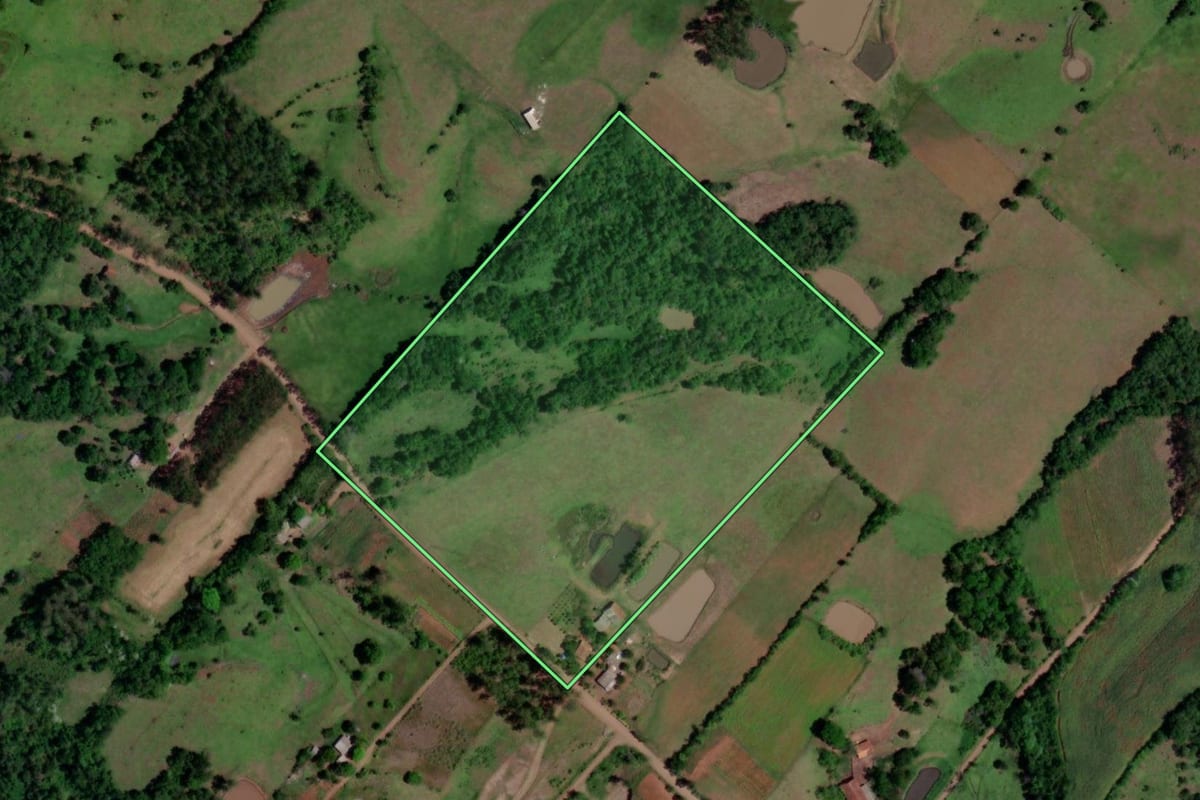 Imagem de satélite do imóvel rural em Porto Lucena (RS), com o contorno declarado no CAR desenhado por cima.