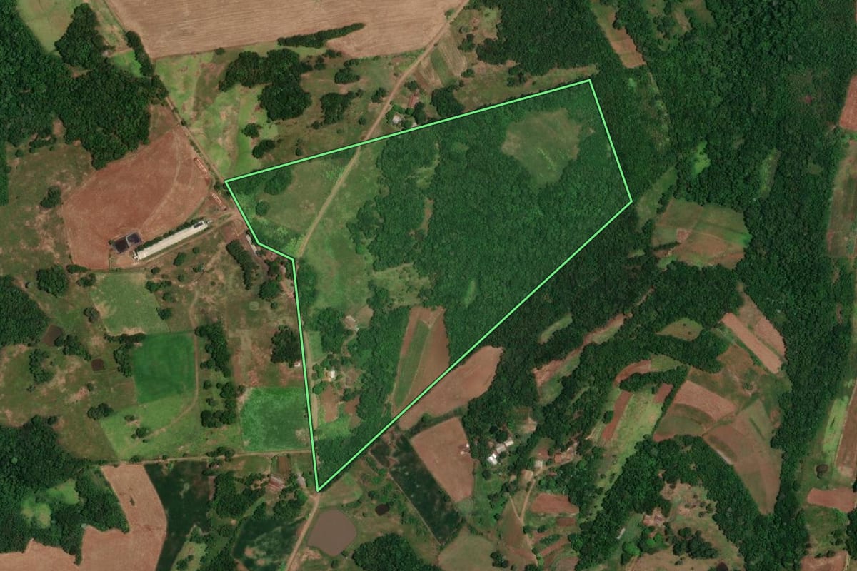 Imagem de satélite do imóvel rural em Porto Lucena (RS), com o contorno declarado no CAR desenhado por cima.