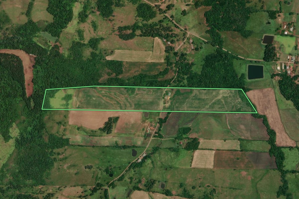 Imagem de satélite do imóvel rural em Porto Lucena (RS), com o contorno declarado no CAR desenhado por cima.