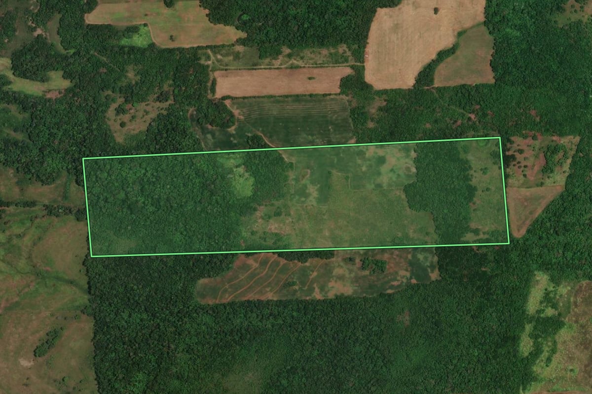 Imagem de satélite do imóvel rural em Porto Lucena (RS), com o contorno declarado no CAR desenhado por cima.
