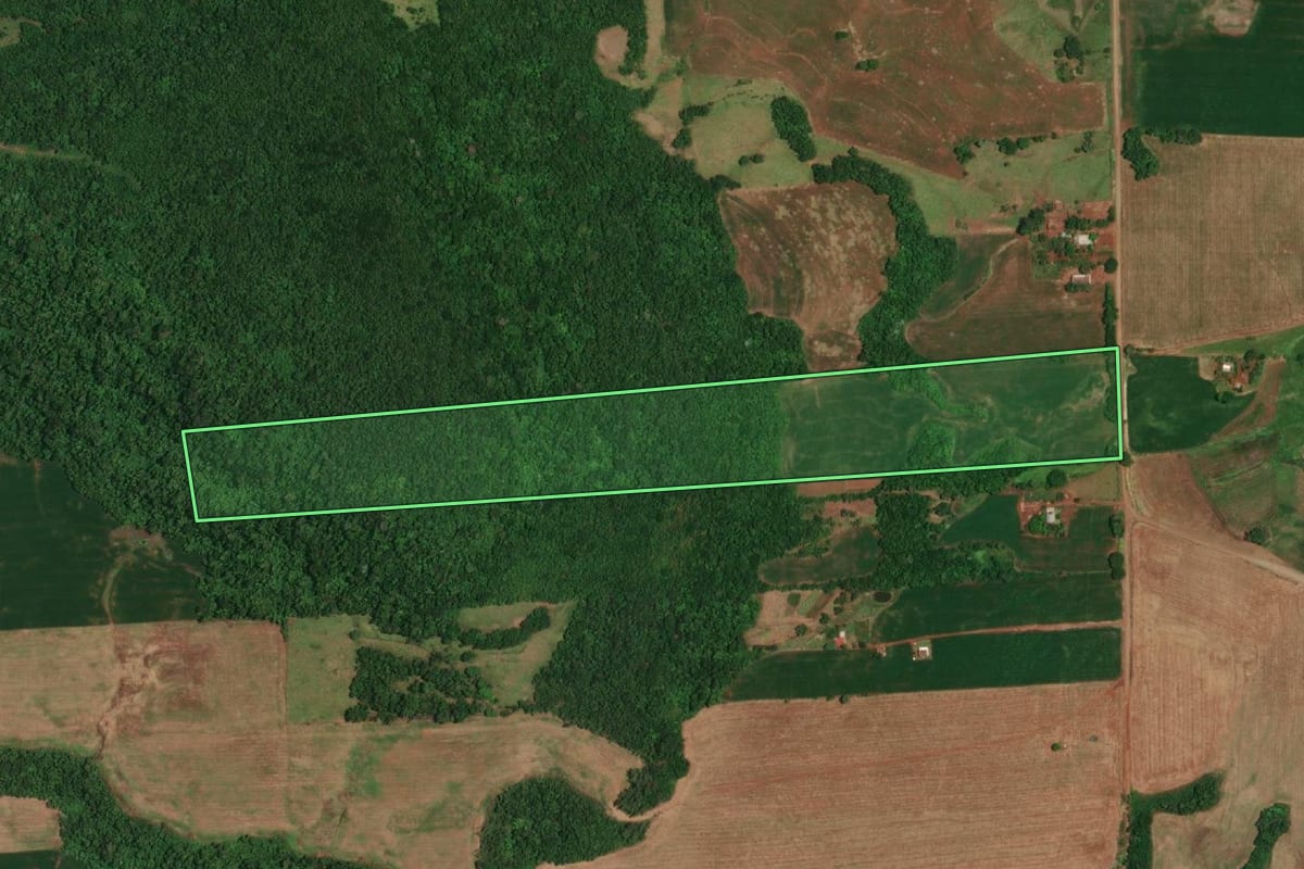 Imagem de satélite do imóvel rural em Porto Lucena (RS), com o contorno declarado no CAR desenhado por cima.