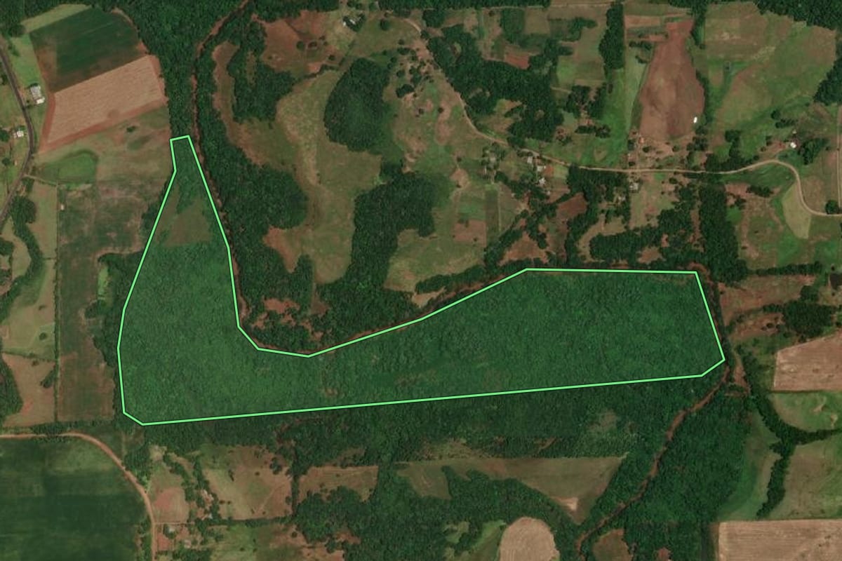 Imagem de satélite do imóvel rural em Porto Lucena (RS), com o contorno declarado no CAR desenhado por cima.
