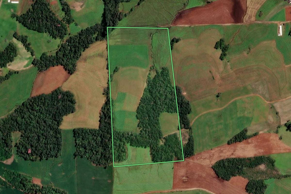 Imagem de satélite do imóvel rural em Porto Lucena (RS), com o contorno declarado no CAR desenhado por cima.