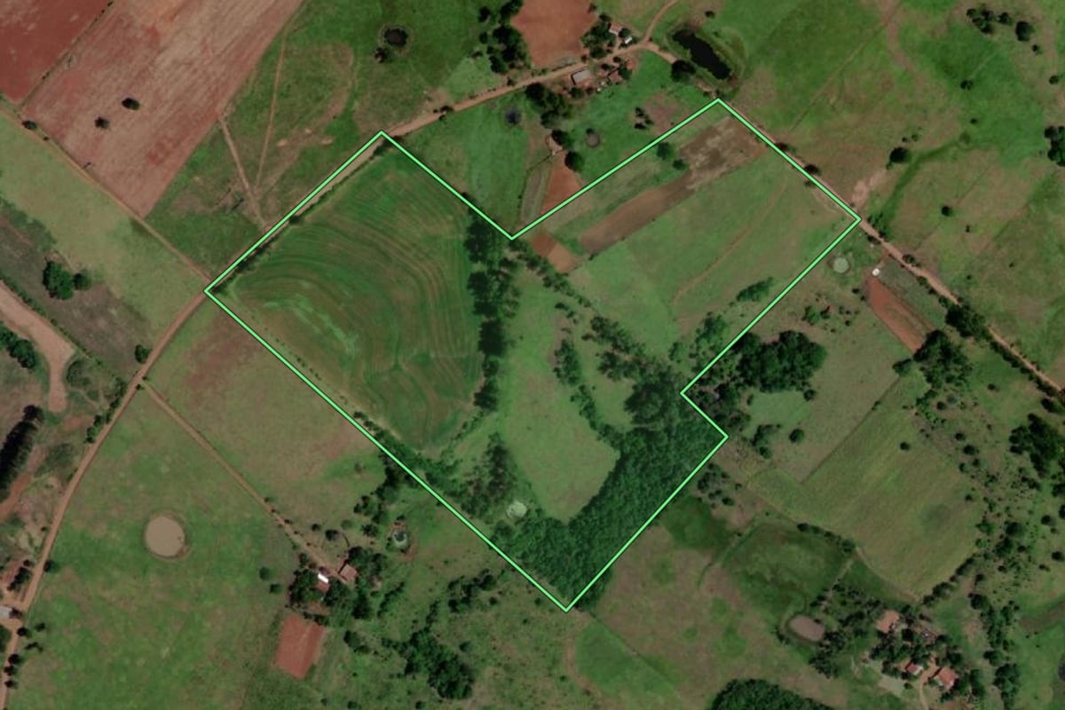 Imagem de satélite do imóvel rural em Porto Lucena (RS), com o contorno declarado no CAR desenhado por cima.