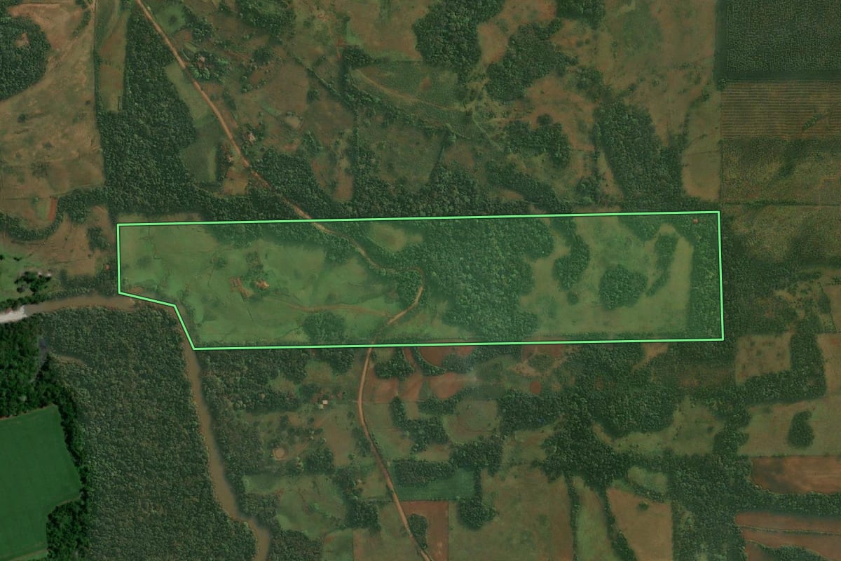 Imagem de satélite do imóvel rural em Porto Lucena (RS), com o contorno declarado no CAR desenhado por cima.