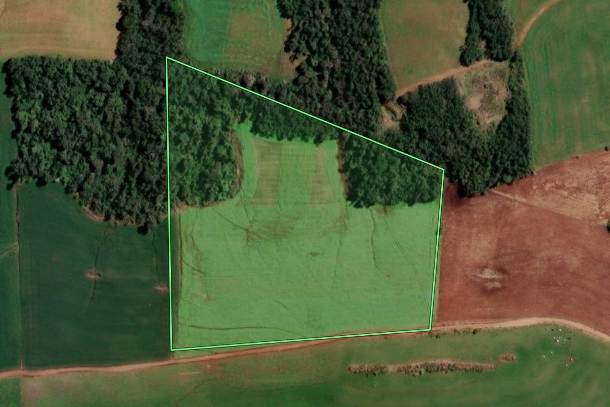 Imagem de satélite do imóvel rural em Porto Lucena (RS), com o contorno declarado no CAR desenhado por cima.