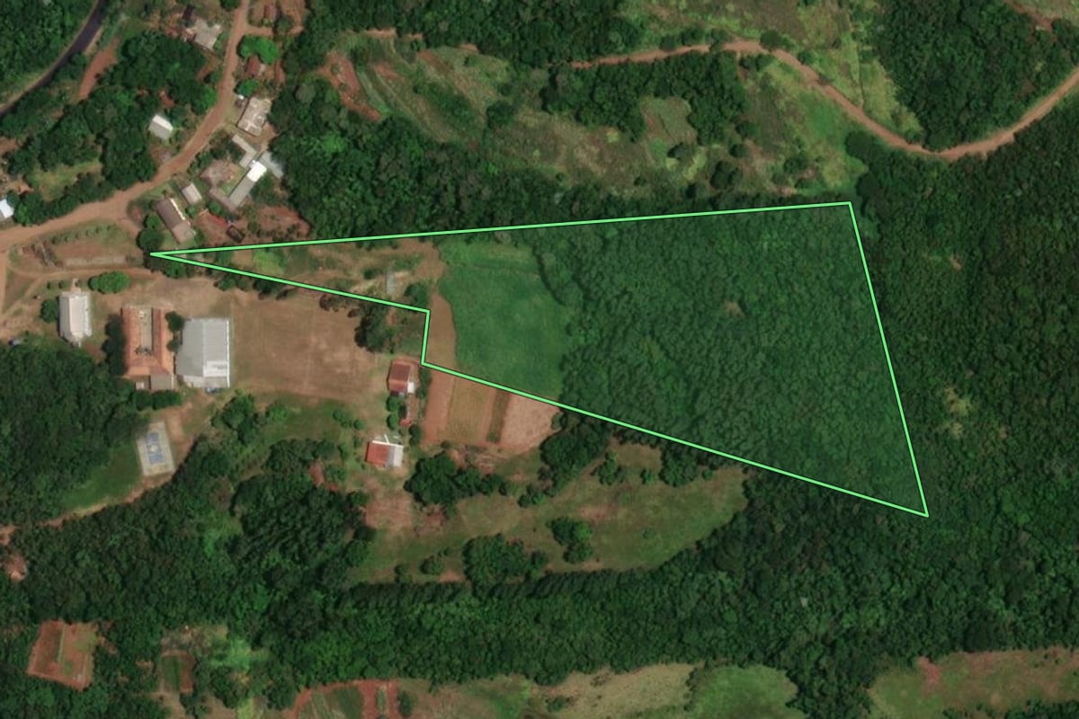 Imagem de satélite do imóvel rural em Porto Lucena (RS), com o contorno declarado no CAR desenhado por cima.