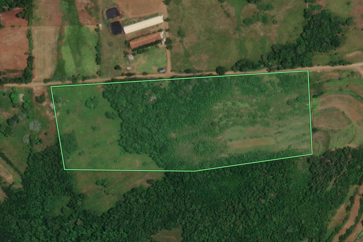 Imagem de satélite do imóvel rural em Porto Lucena (RS), com o contorno declarado no CAR desenhado por cima.
