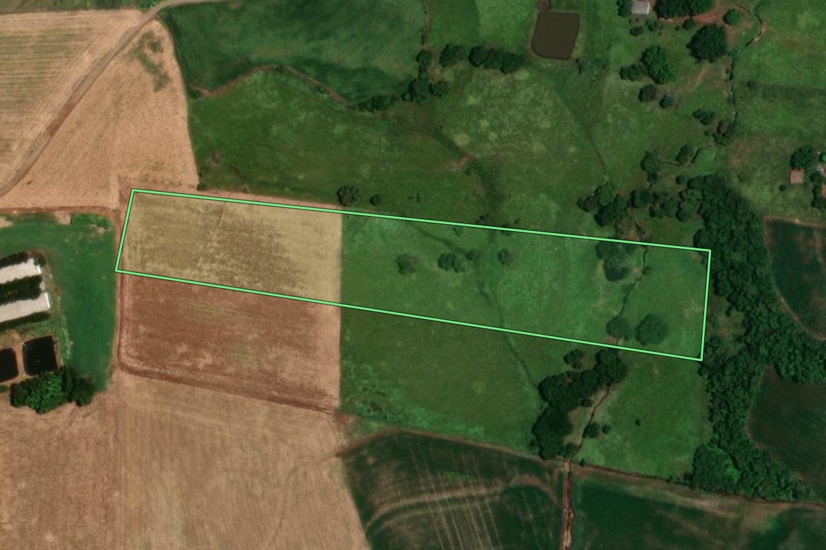 Imagem de satélite do imóvel rural em Porto Lucena (RS), com o contorno declarado no CAR desenhado por cima.