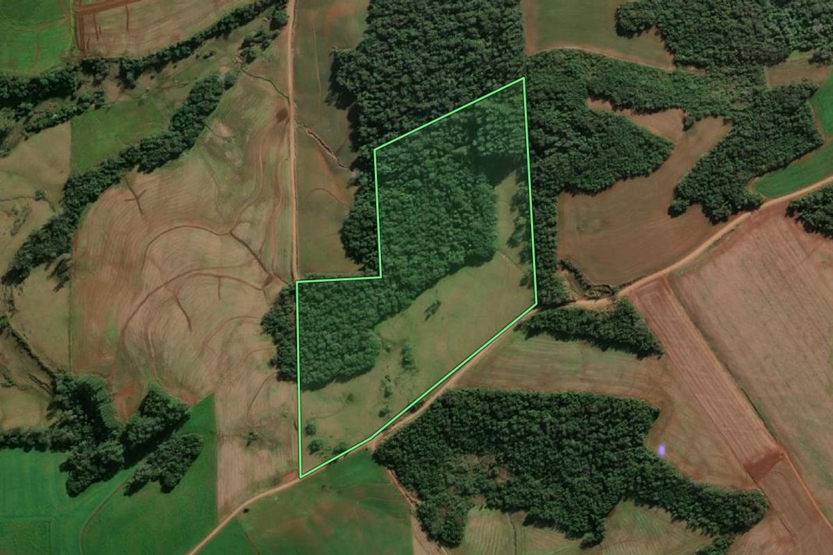 Imagem de satélite do imóvel rural em Porto Mauá (RS), com o contorno declarado no CAR desenhado por cima.