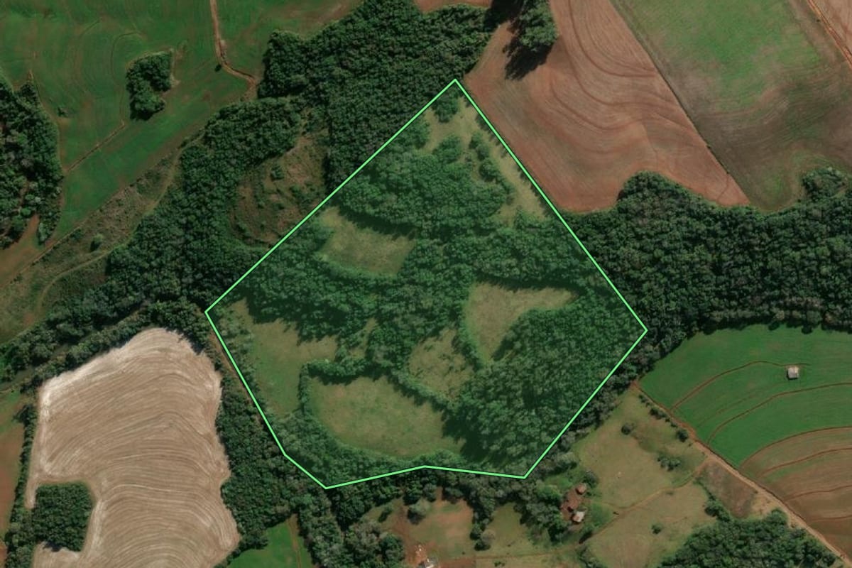Imagem de satélite do imóvel rural em Porto Mauá (RS), com o contorno declarado no CAR desenhado por cima.