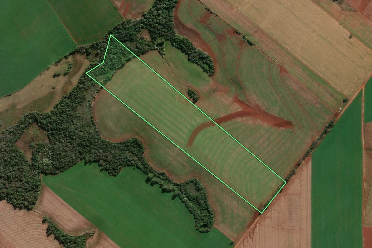 Imagem de satélite do imóvel rural em Porto Mauá (RS), com o contorno declarado no CAR desenhado por cima.