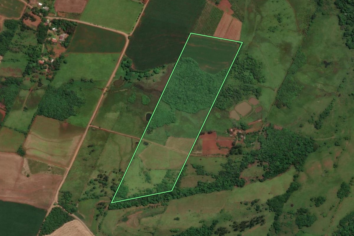 Imagem de satélite do imóvel rural em Porto Mauá (RS), com o contorno declarado no CAR desenhado por cima.