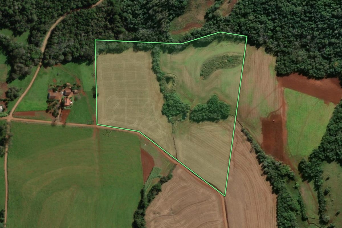 Imagem de satélite do imóvel rural em Porto Mauá (RS), com o contorno declarado no CAR desenhado por cima.